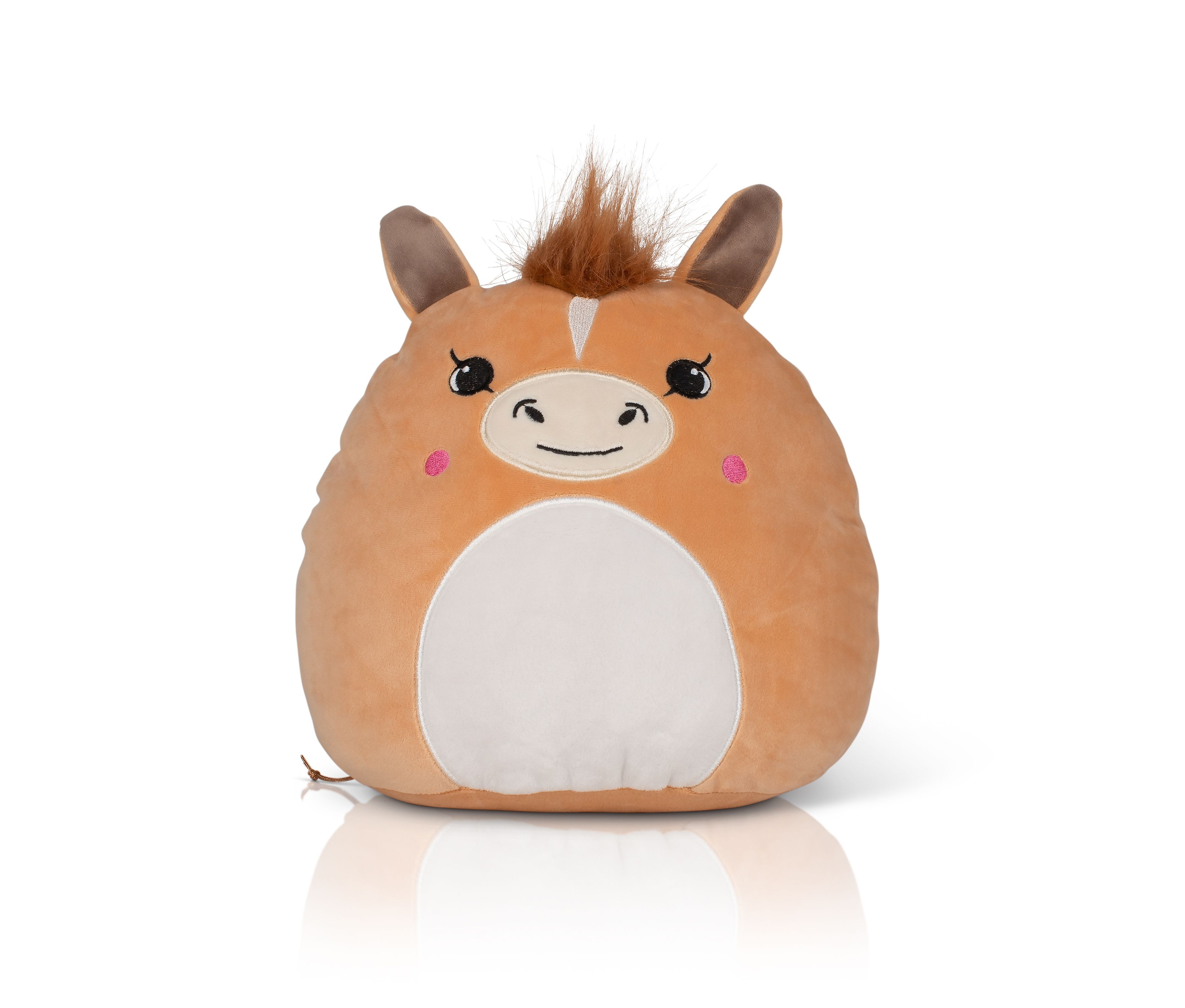 SQUIDGY PONY