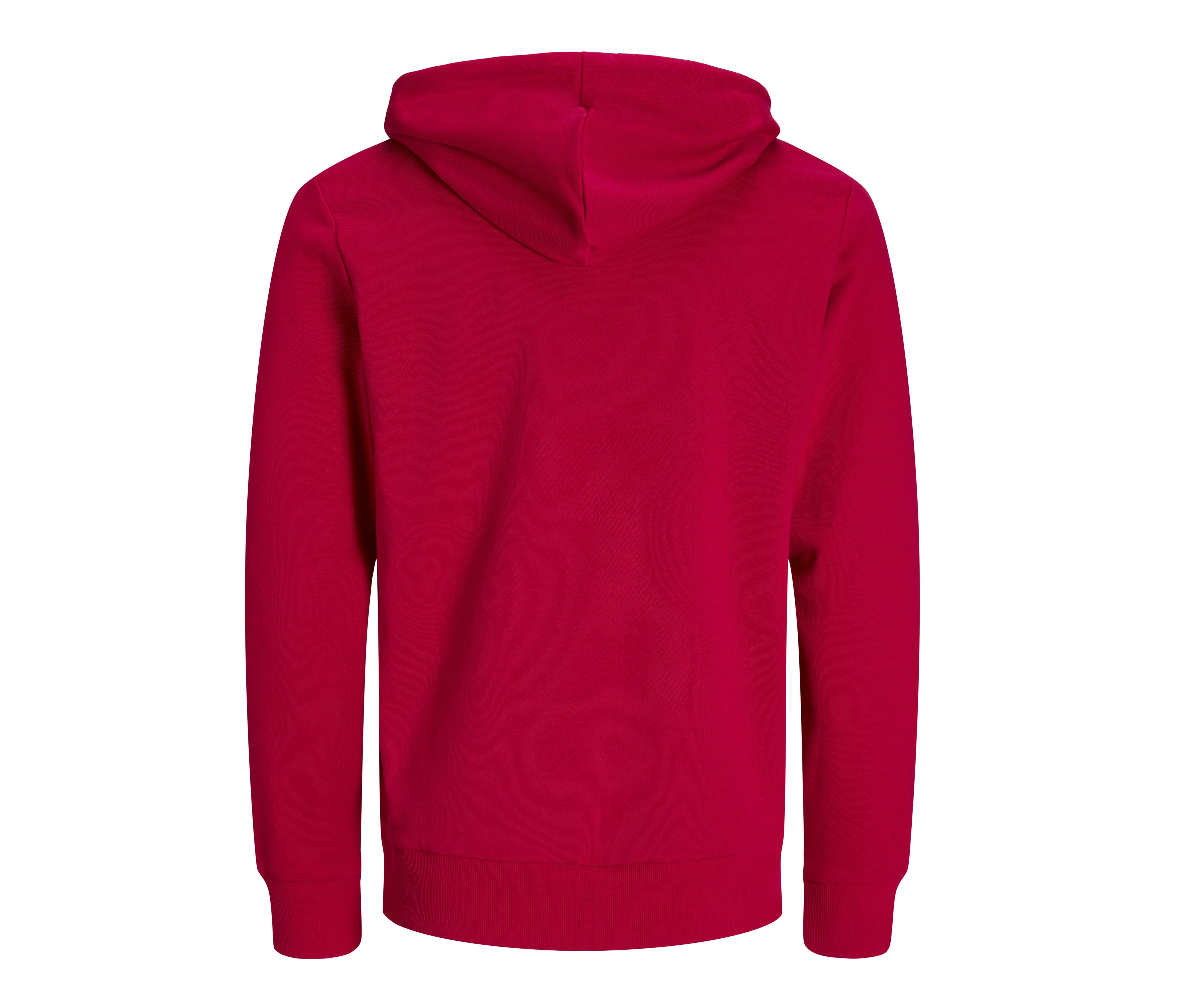 DAY ZIP HOOD